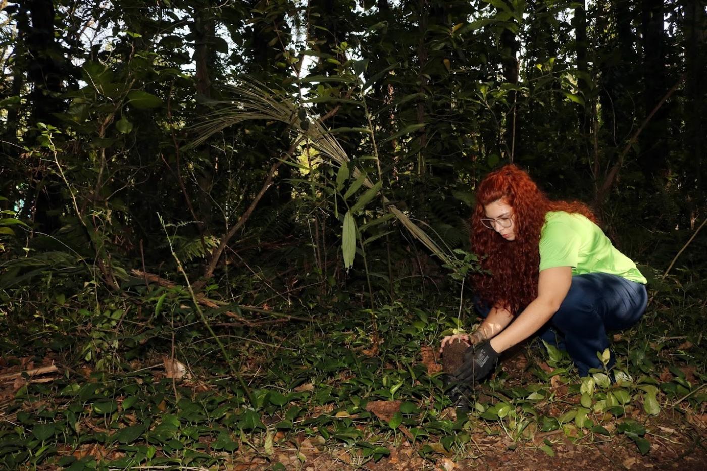 Santos realiza oficinas preparatórias para Conferência do Meio Ambiente