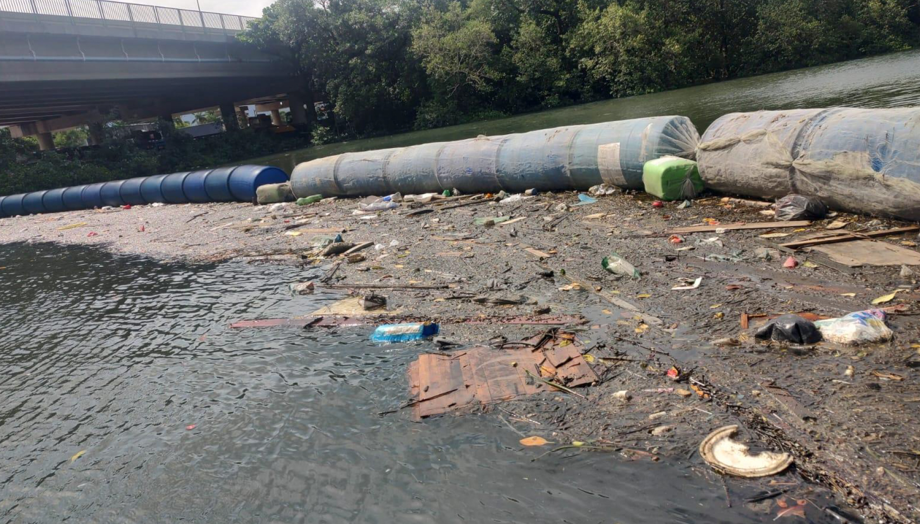 Santos Brasil e Instituto Nova Maré realizam mutirão de limpeza em remanescente de manguezal do estuário de Santos