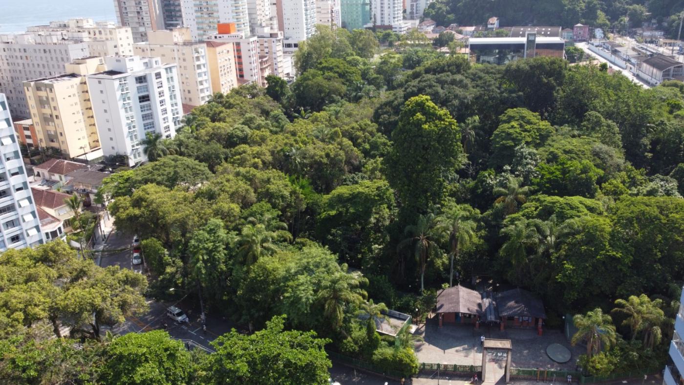Novos ‘Amigos do Verde’ serão capacitados no Orquidário de Santos