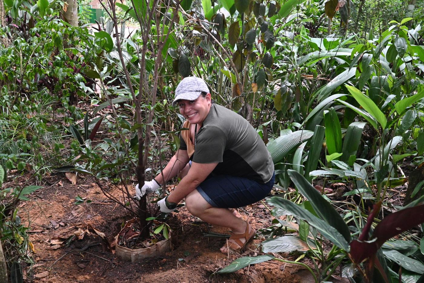Voluntários aprendem a escolher, plantar e cuidar de árvores em Santos