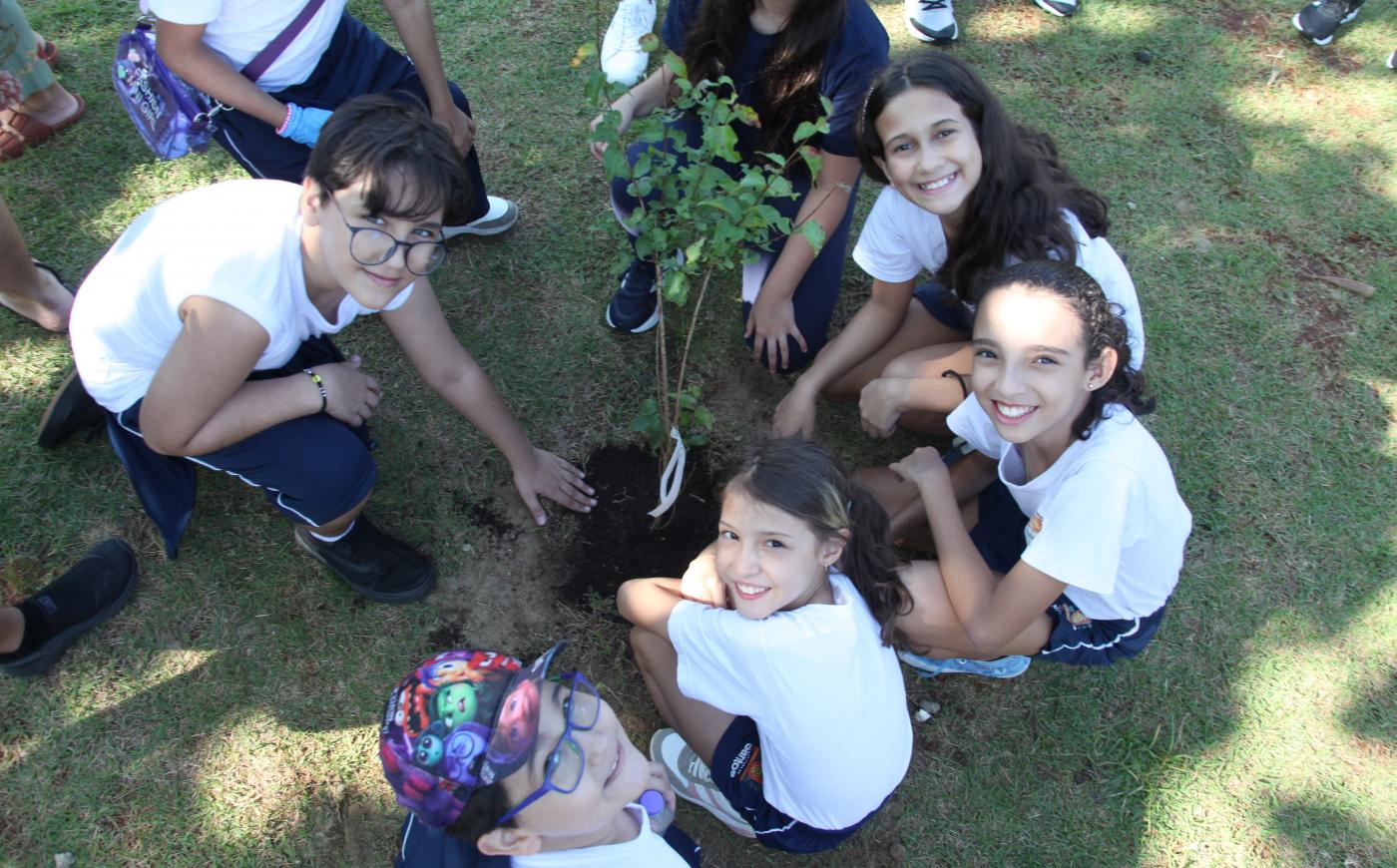 Semana do Meio Ambiente começa com plantio de 50 árvores e mais de 3,4 mil resíduos recolhidos em Santos