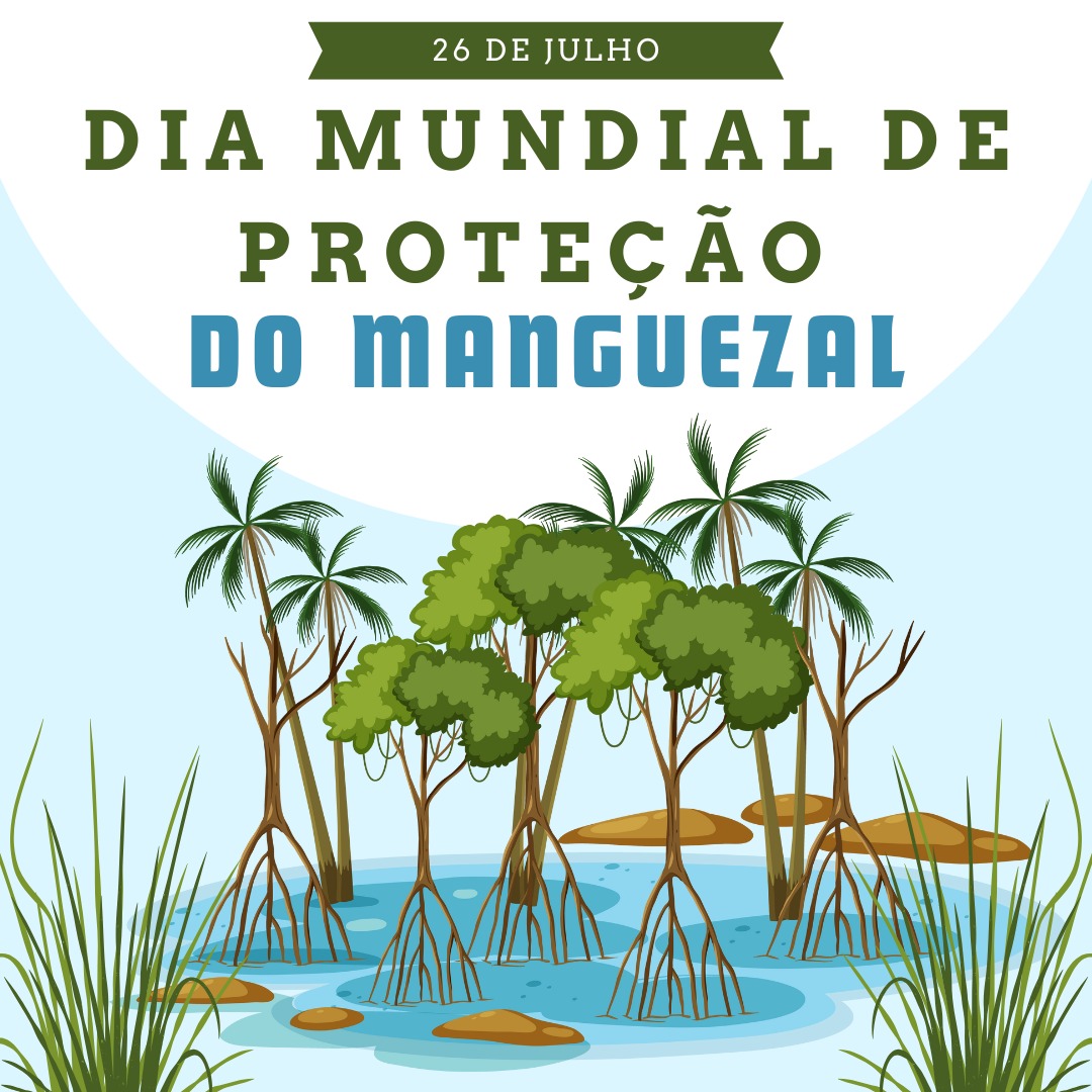 Mutirão de limpeza simultâneo nos ecossistemas de manguezal de Cubatão