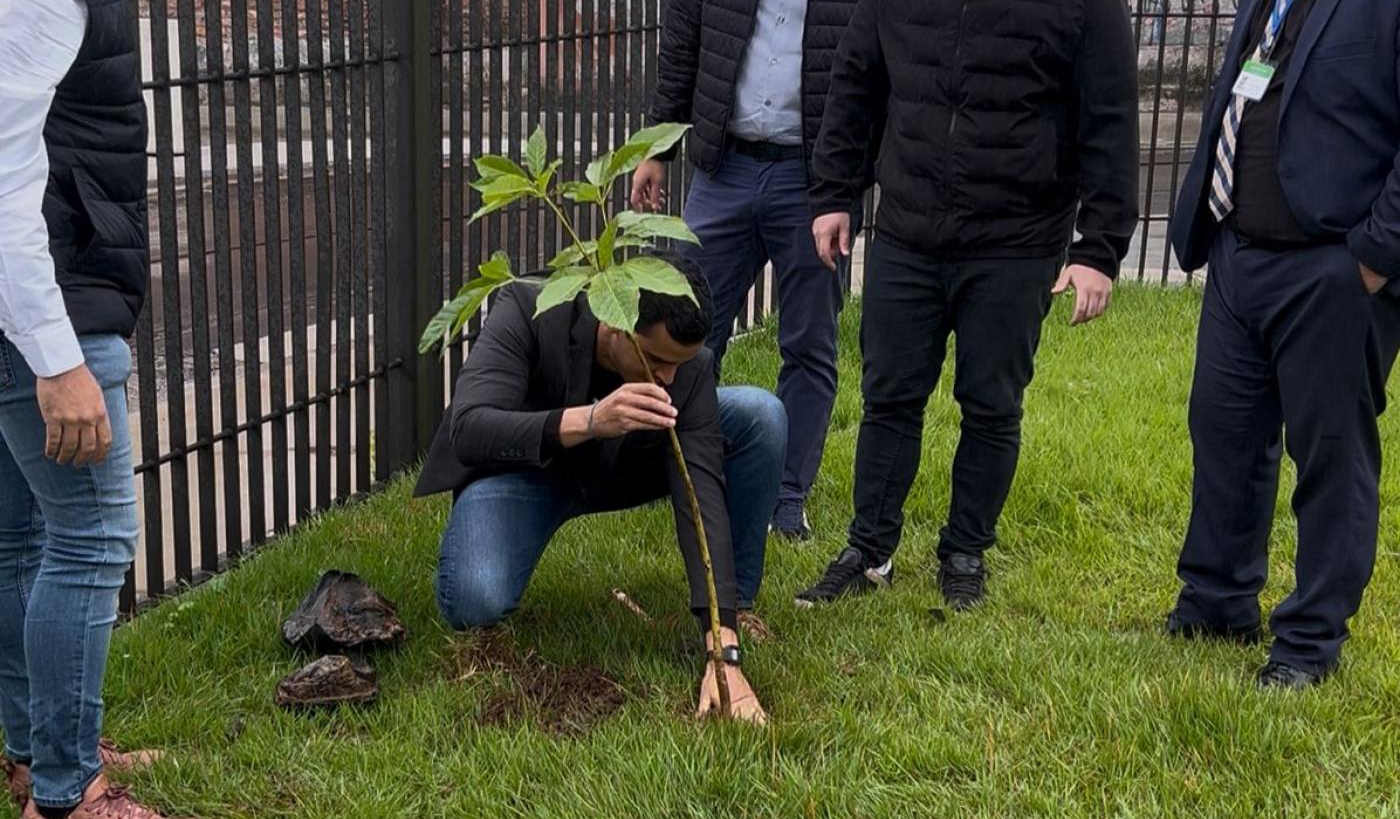 Plantio de ipês em Santos dá início a programa de sustentabilidade