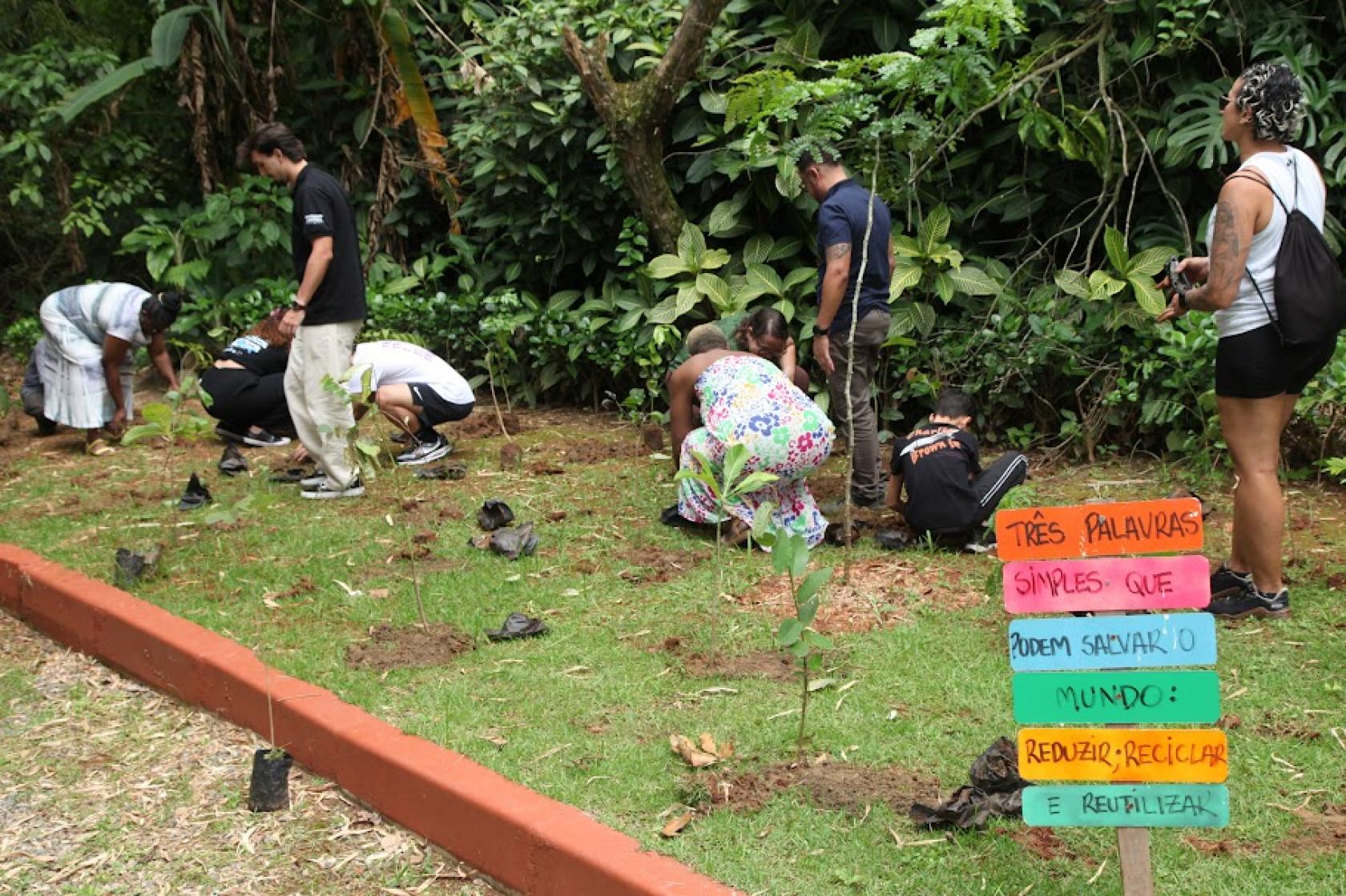 Parque dos Morros de Santos ganha 100 árvores nativas da Mata Atlântica