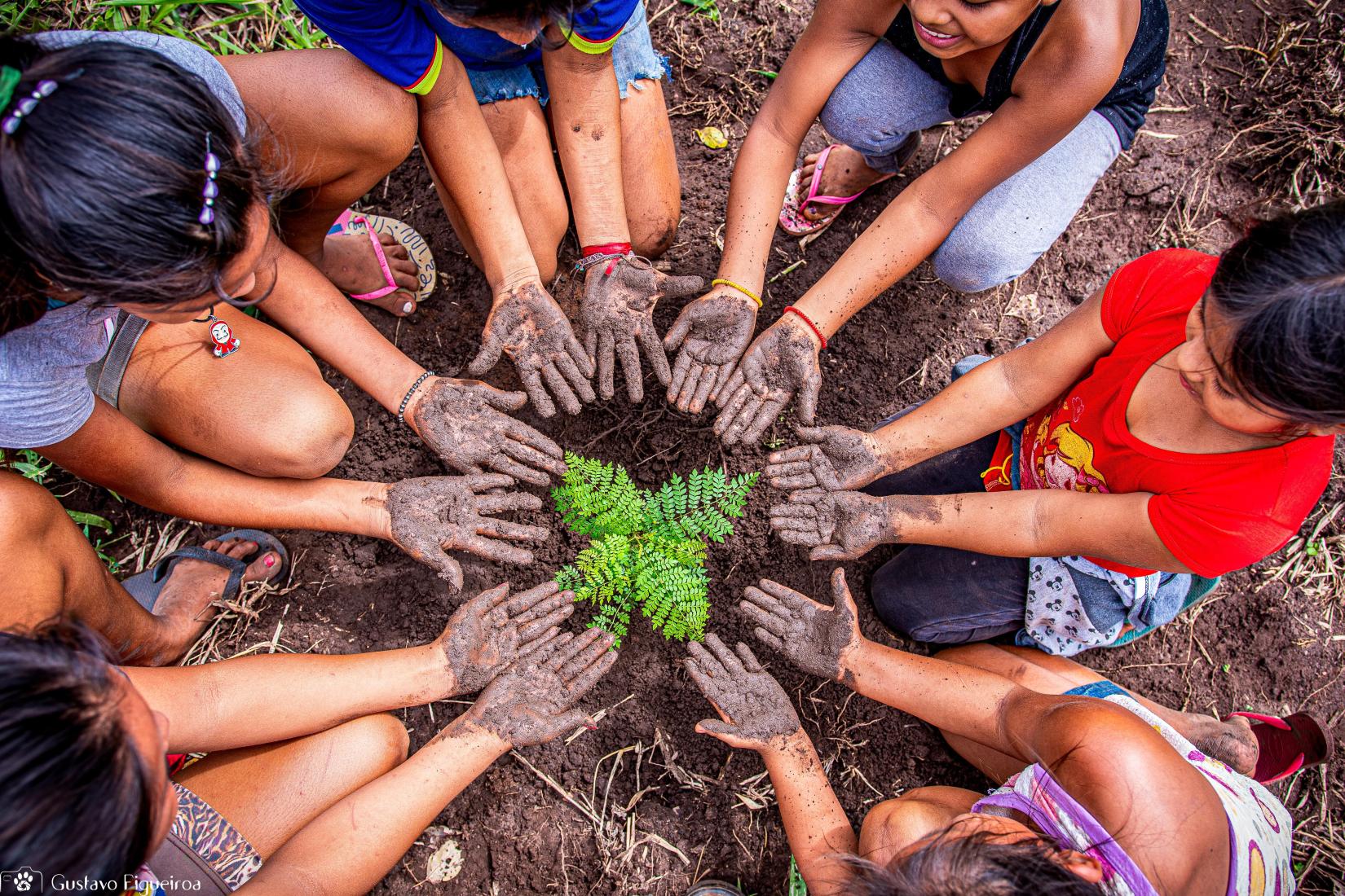 Nações Unidas buscam jovens com grandes ideias para proteger o planeta