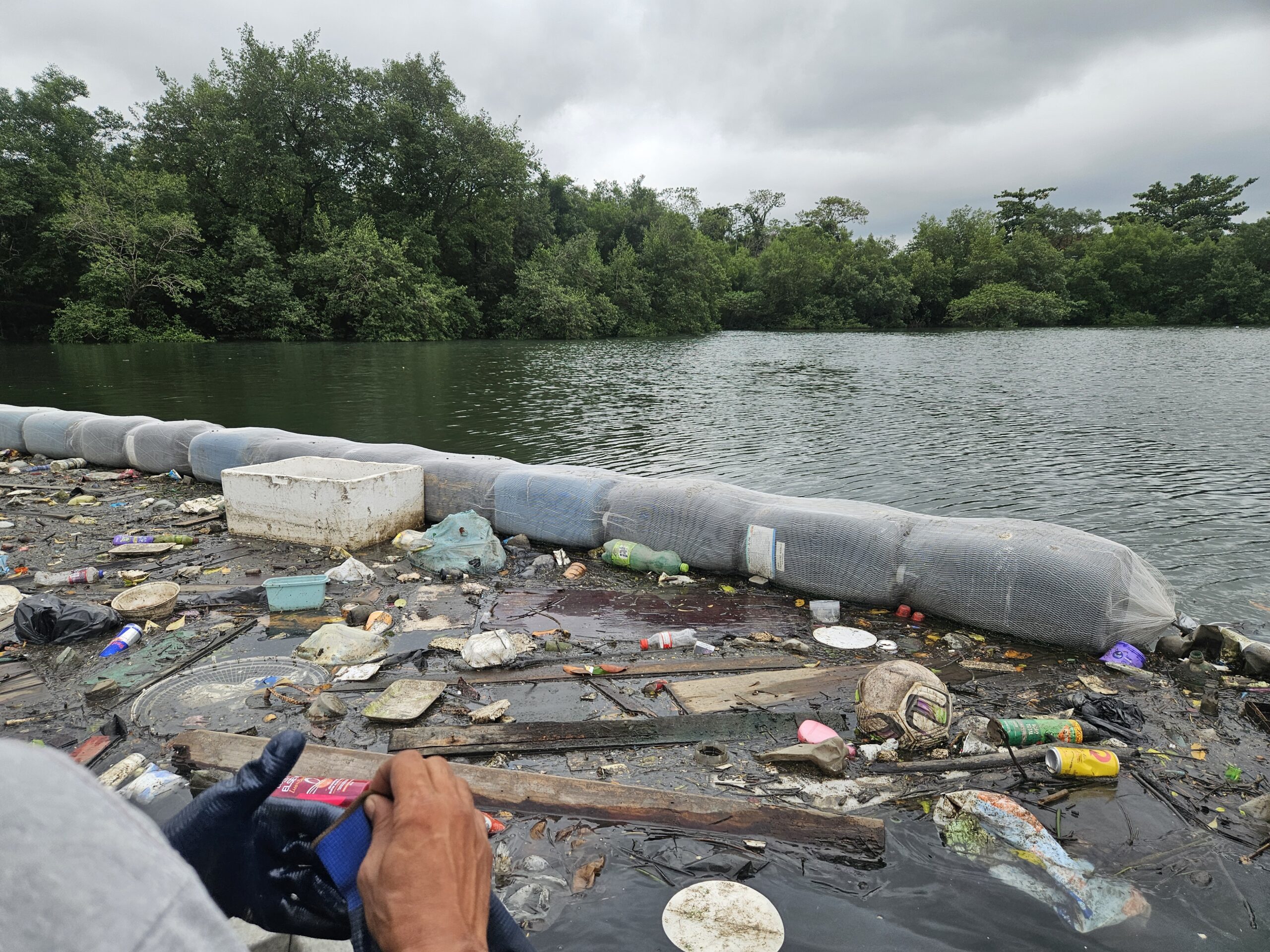 Em celebração ao Dia Mundial da Água, Santos recebe nova Ecobarreira e loja comunitária com moeda social